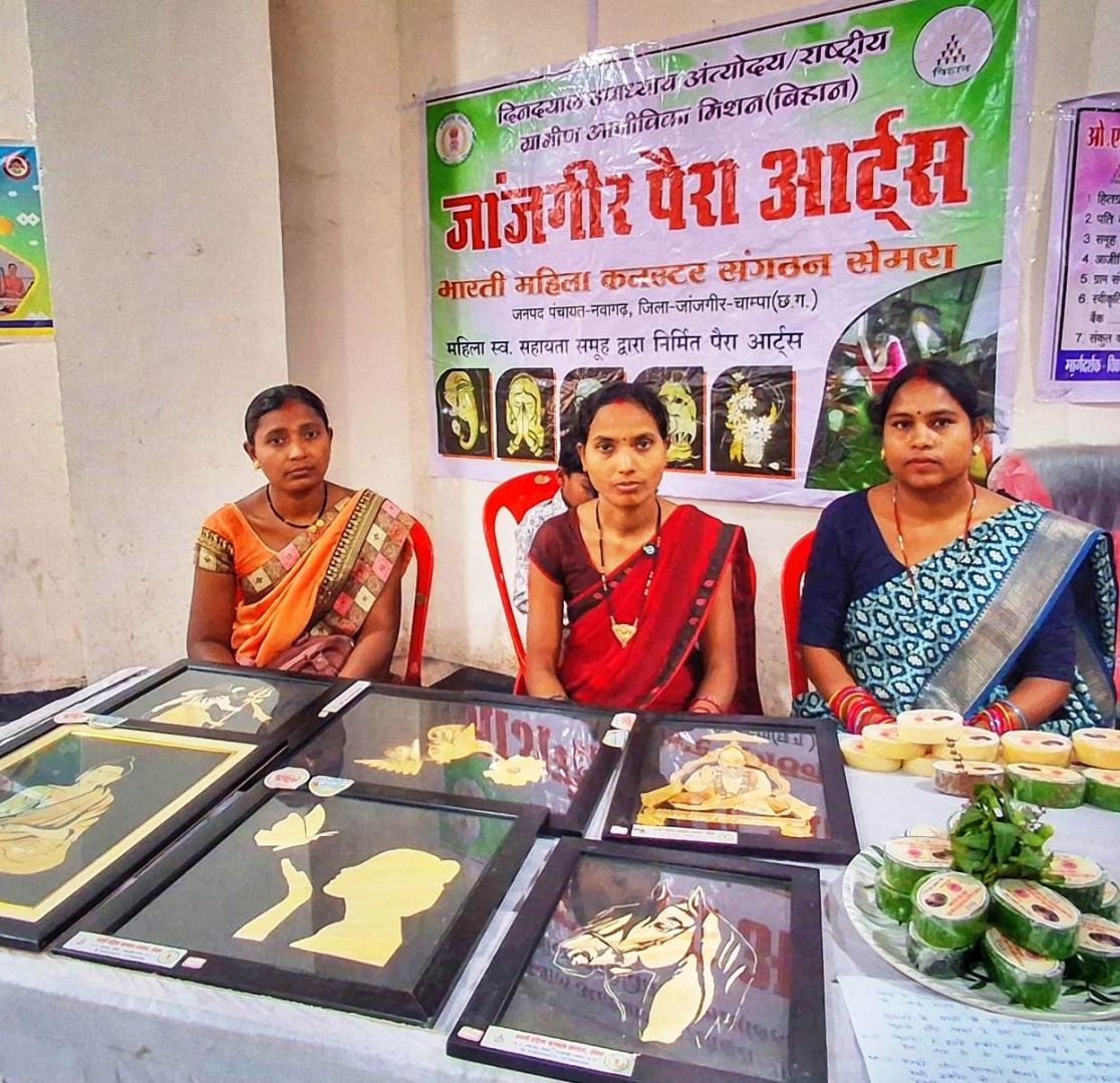 बिहान से मिली उड़ान, पैरा आर्ट से बढ़ी पहचान  गृहिणी से उद्यमी तक श्रीमती ललिता जाटवार बनीं आत्मनिर्भर