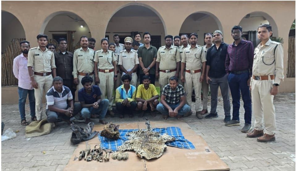 दो तेंदुआ के खाल सहित 5 आरोपी गिरफ्तार" " खाल को तंत्र मंत्र के लिए उपयोग किया जा रहा था"